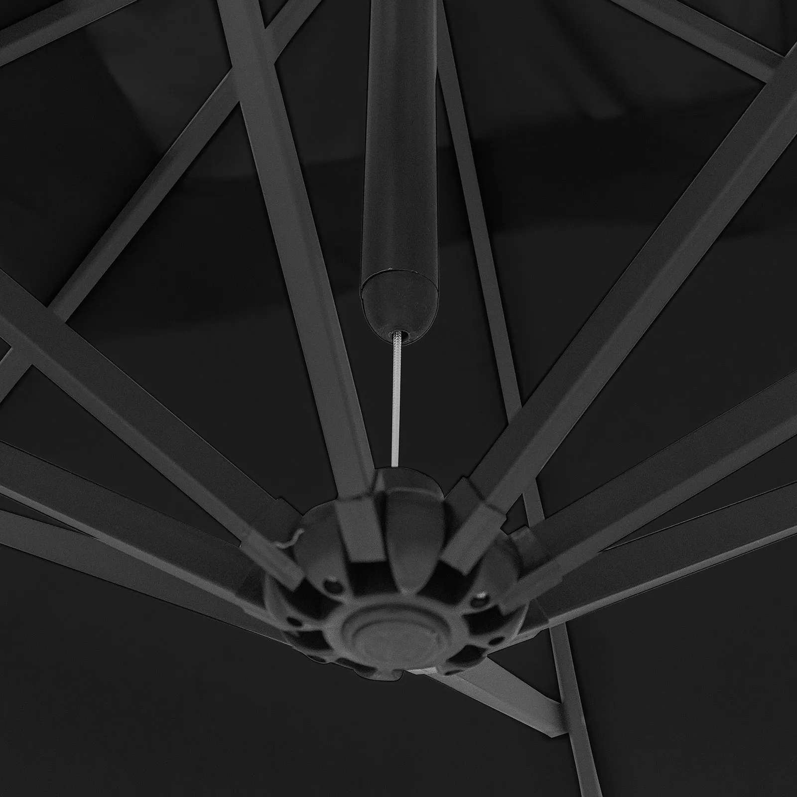 N16644 gallery