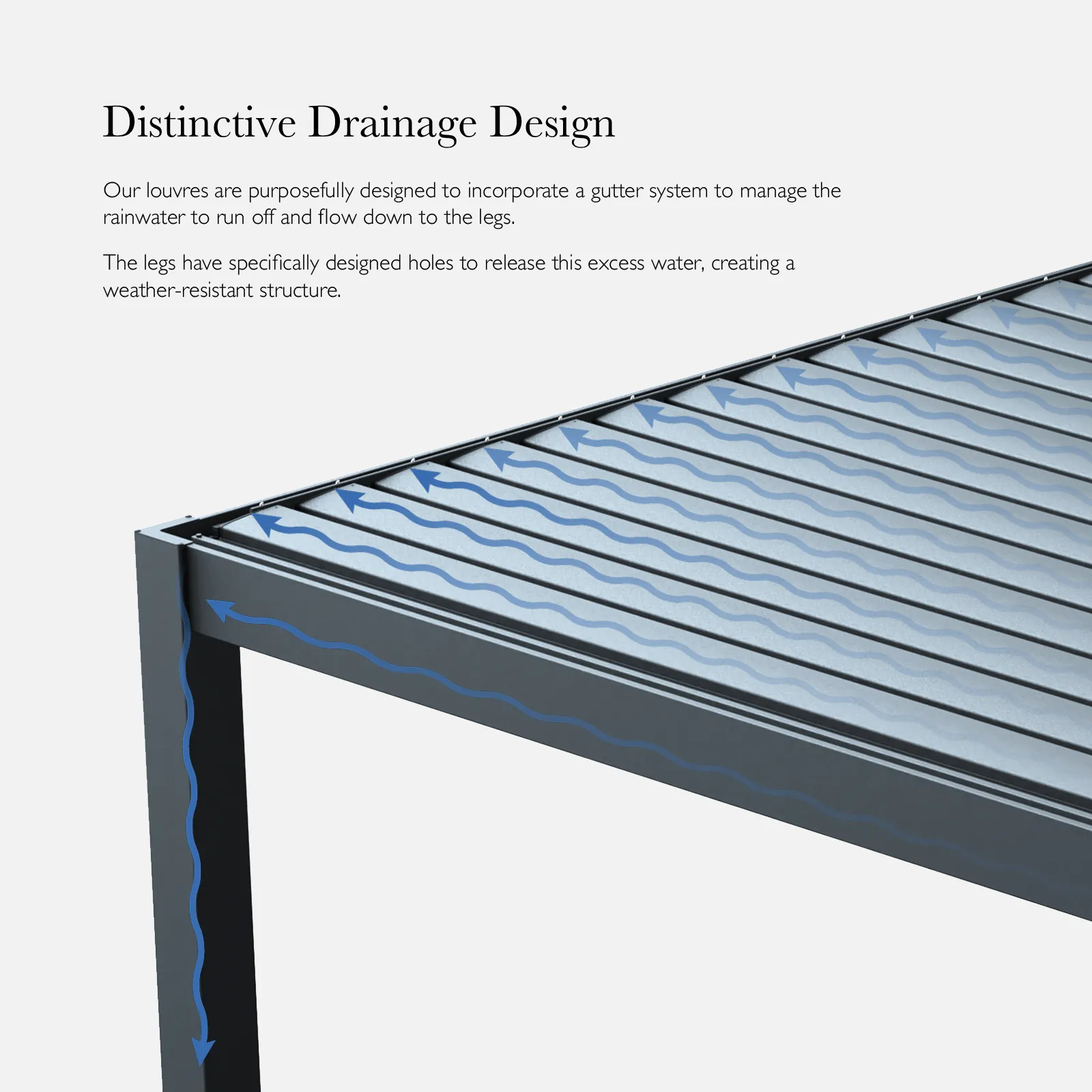 N23002 gallery