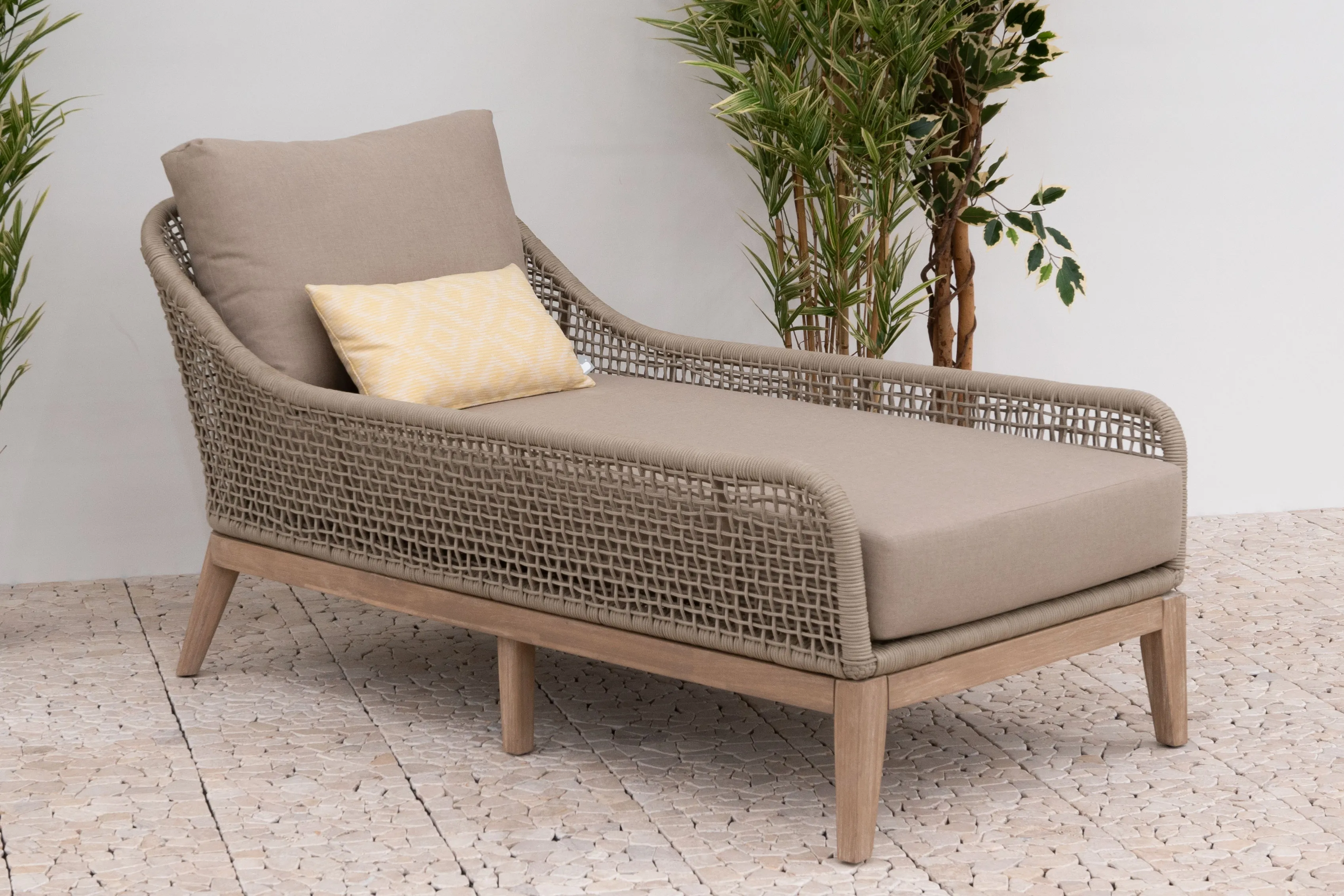 N25252 gallery